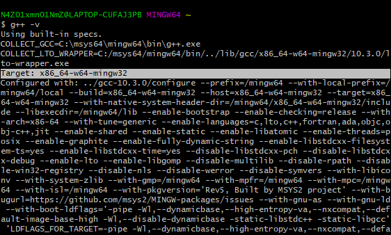 Terminal output of MSYS2 MinGW 64-bit terminal